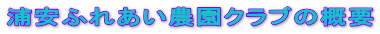 Yӂꂠ_NůTv
